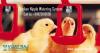 Photo for Chicken Nipple Watering System | Poultry Drinking Systems