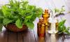 Photo for Global Tea Tree Essential Oil Market Manufacturers Sales Analysis Report 2019-2024