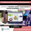 Photo for Best eCommerce Web Development Company in India