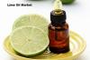 Photo for Global Lime Oil Market Trends Estimates High Demand by 2028