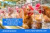 Photo for Poultry Cages Manufacturers in Hyderabad | Vijay Raj Poultry