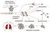 Photo for Chemokines and Chemokine Receptors