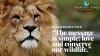 Photo for India Wildlife Tours With Bespoke India Holidays