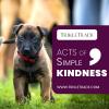 Photo for ACTS of Simple Kindness