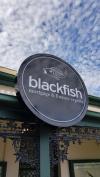 Photo for Blackfish Finance