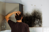 Photo for Mold Removal Bella Vista