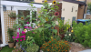 Photo for Forbes Landscape & Gardening Service