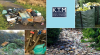 Photo for KTM Rubbish Removals