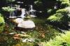 Photo for Cater Your Aquariums & Ponds with Aquatic Warehouse
