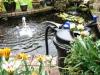 Photo for Get Quality Pond Solutions at Aquatic Warehouse