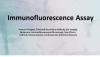 Photo for Immunofluorescence Assay Market – Top 3 Players and there Market Growth