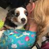 Photo for Pet Movers