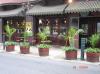 Photo for Plantscapes USA for Plant Maintenance Services Philadelphia