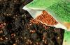Photo for Global Seed Treatment Market Size, Share, Growth, Trends and Forecast Report, 2012 to 2020