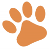 Photo for Canine Companion Consulting