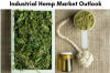 Photo for Industrial Hemp Market Size Worth $10.6 Billion By 2025