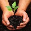 Photo for Know the Latest Study of the Global Bio Fertilizer Market 2019 in the Industry with Prominent Players
