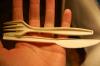 Photo for Biodegradable Cutlery Market Size, Share, Growth, Trends and Industry Analysis Report, 2019 to 2025