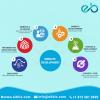 Photo for Web Design & Mobile App Development Agency USA
