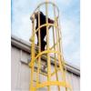 Photo for Safety Equipment to Use at Work Place – Caged Ladders