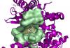 Photo for Fluorescent Polylactides