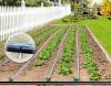 Photo for Increase in Crop Yields Expected to Drive Global Agriculture Dripper Market over the Forecast Period: Ken Research