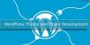 Photo for Smart Tips for WordPress Theme and Plugin Development