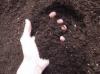 Photo for Manufactured Soil Market 2019: Industry Growth, Trends and Research Report, To 2025