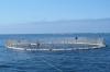 Photo for Aquaculture Market Size, Share, Growth, Trends and Industry Analysis Report, 2014 to 2020