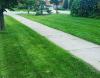 Photo for 10 Lawn Care Tips You Have To Know - Read It