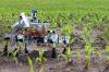 Photo for Agricultural Robots Market to Grow at Moderate CAGR of 24.7% Through 2025