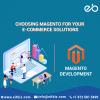 Photo for Hire Magento Developers Indianapolis