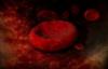 Photo for Blood Group Antibodies