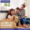 Photo for Pet Relocation to India | Pet Relocation to USA