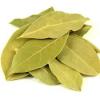 Photo for Bay Leaf Market Insights And Deep Analysis 2020-2024