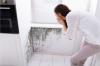 Photo for Mold Removal Company Near Me Versailles KY