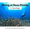 Photo for Diving at Nusa Penida
