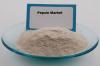 Photo for Global Pepsin Market Leading Manufacturers, Consumption, Analysis & Forecast to 2028