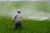 Photo for Global Agrochemicals Market Size, Share, Growth, Trends and Industry Overview Report, 2018 to 2025
