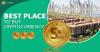 Photo for Best Place to Buy Cryptocurrency In Cameroon