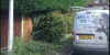 Photo for Herts & Essex Tree Care