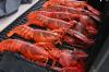 Photo for Frozen Seafood Exporter in Australia-Genie Group