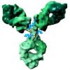 Photo for Antibody Drug Conjugate Market 2020: Industry Growth, Trends and Research Report, To 2025