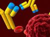 Photo for Autoimmune Disease Diagnostics Market 2020: Industry Growth, Trends and Research Report, To 2025