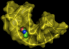 Photo for Global Aptamers Market Size, Share, Growth, Trends and Industry Analysis Report, 2018 to 2025