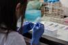 Photo for Autoimmune Disease Diagnostics Market Size, Share, Growth, Trends and Industry Analysis Report, 2018 to 2025