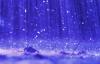 Photo for Palm Beach Gutter 2588 Kentucky St. West Palm Beach, FL 33406 (561)408-7956 http://www.palmbeachgutter.com