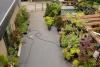 Photo for Kathy's Small Garden Company