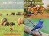 Photo for India wildlife tours: Save it to Cherish..