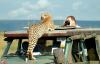Photo for Mombasa Safari Trips